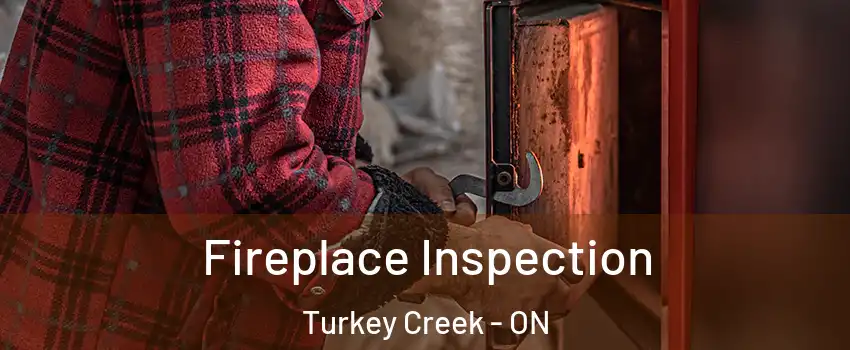  Fireplace Inspection Turkey Creek - ON