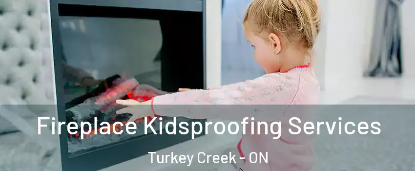  Fireplace Kidsproofing Services Turkey Creek - ON