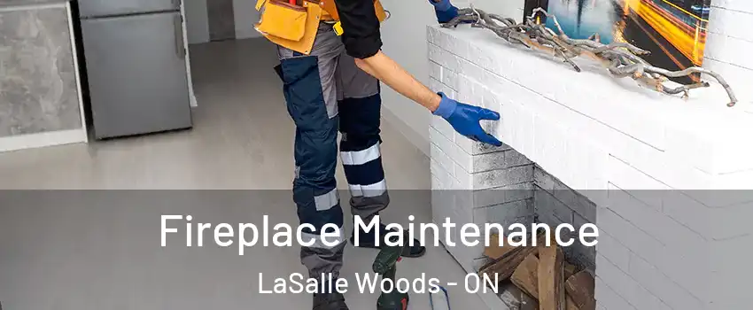  Fireplace Maintenance LaSalle Woods - ON