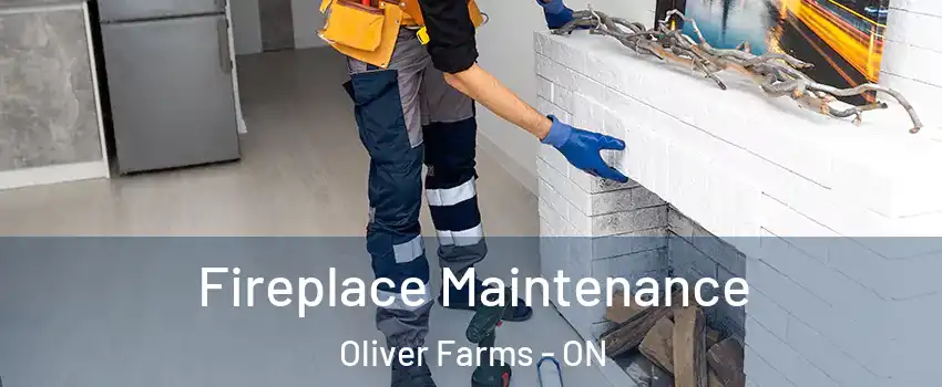  Fireplace Maintenance Oliver Farms - ON