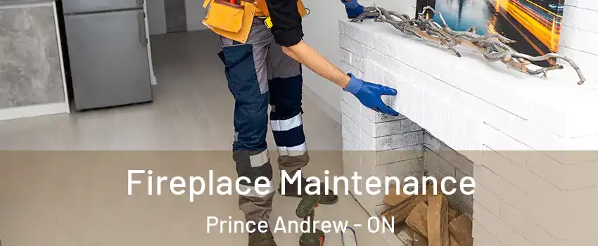  Fireplace Maintenance Prince Andrew - ON