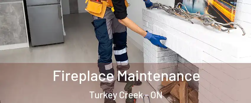  Fireplace Maintenance Turkey Creek - ON