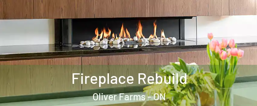  Fireplace Rebuild Oliver Farms - ON