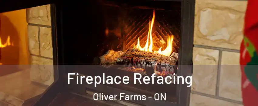  Fireplace Refacing Oliver Farms - ON