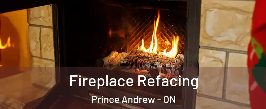  Fireplace Refacing Prince Andrew - ON