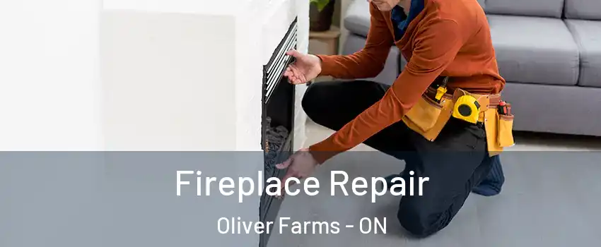  Fireplace Repair Oliver Farms - ON