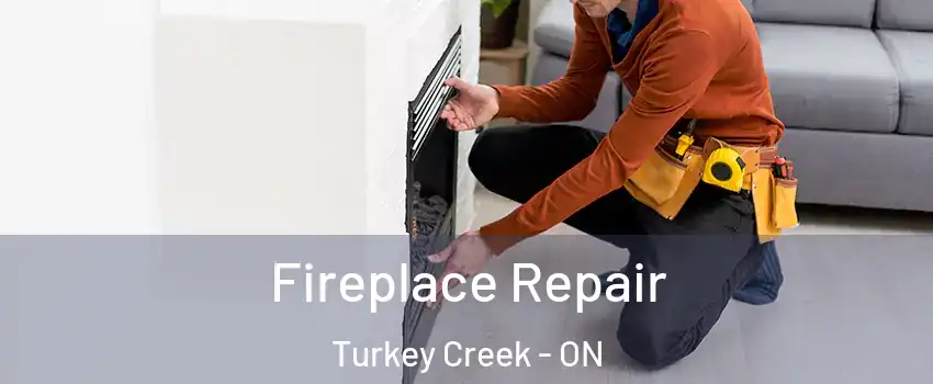  Fireplace Repair Turkey Creek - ON