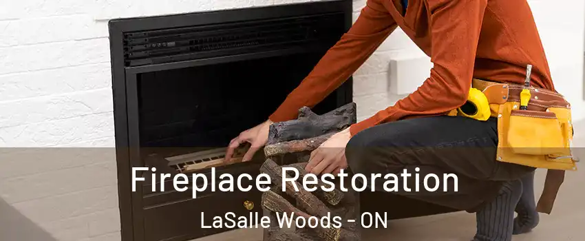  Fireplace Restoration LaSalle Woods - ON