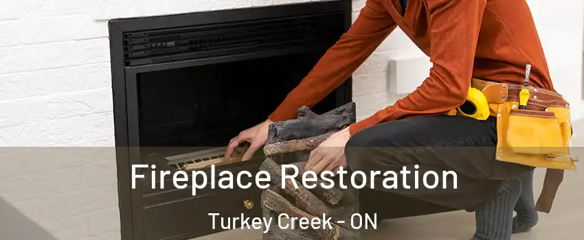  Fireplace Restoration Turkey Creek - ON