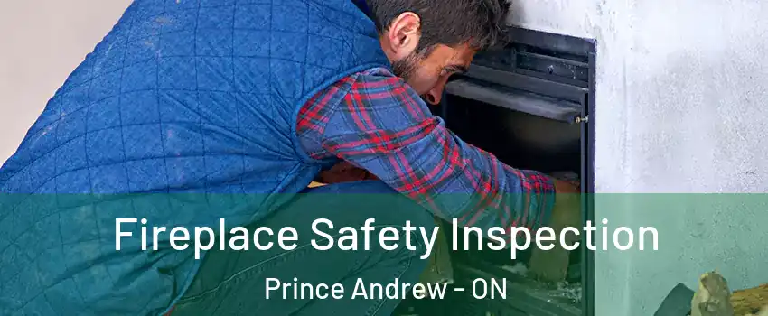 Fireplace Safety Inspection Prince Andrew - ON