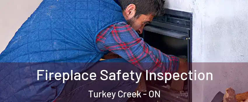 Fireplace Safety Inspection Turkey Creek - ON