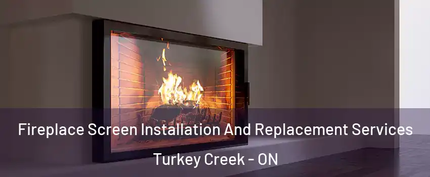 Fireplace Screen Installation And Replacement Services Turkey Creek - ON