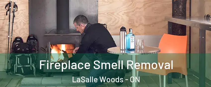  Fireplace Smell Removal LaSalle Woods - ON