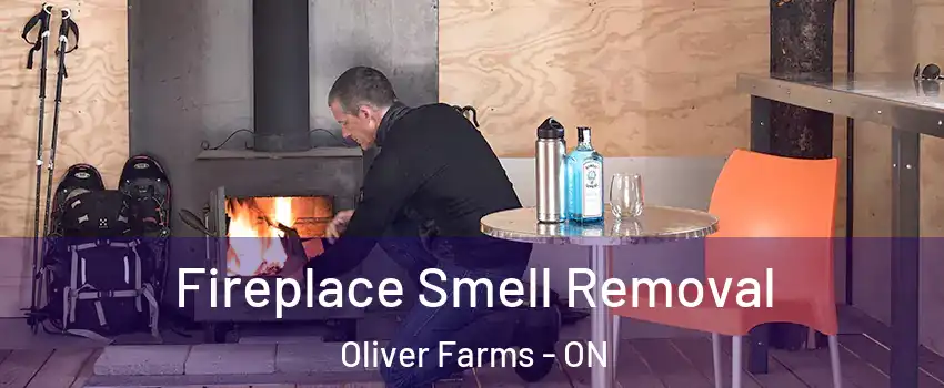  Fireplace Smell Removal Oliver Farms - ON