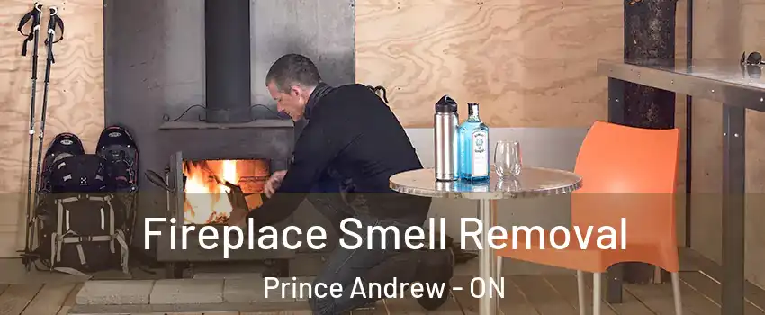  Fireplace Smell Removal Prince Andrew - ON