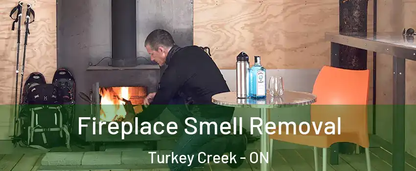 Fireplace Smell Removal Turkey Creek - ON