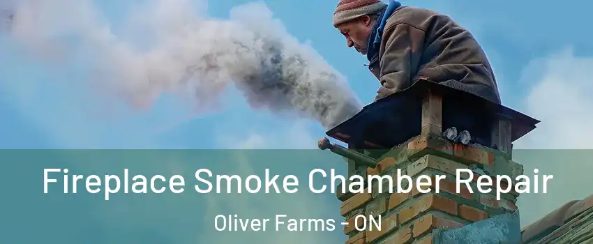  Fireplace Smoke Chamber Repair Oliver Farms - ON