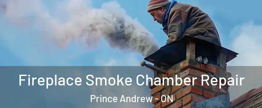  Fireplace Smoke Chamber Repair Prince Andrew - ON