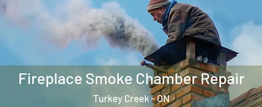  Fireplace Smoke Chamber Repair Turkey Creek - ON