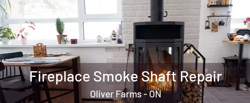  Fireplace Smoke Shaft Repair Oliver Farms - ON