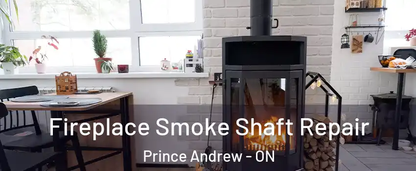  Fireplace Smoke Shaft Repair Prince Andrew - ON