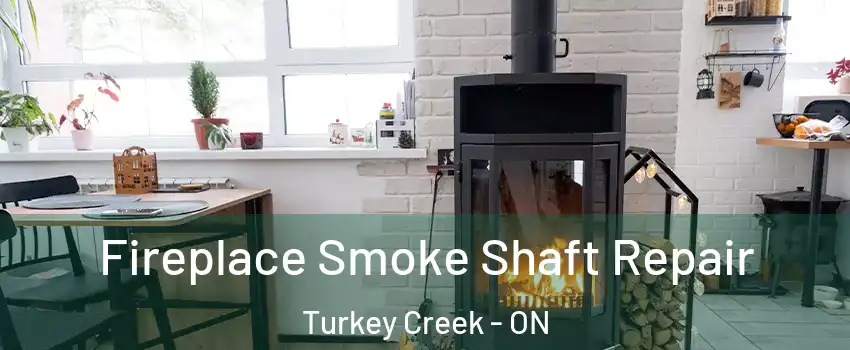  Fireplace Smoke Shaft Repair Turkey Creek - ON