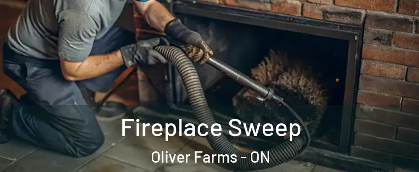  Fireplace Sweep Oliver Farms - ON