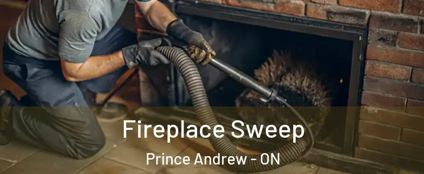  Fireplace Sweep Prince Andrew - ON