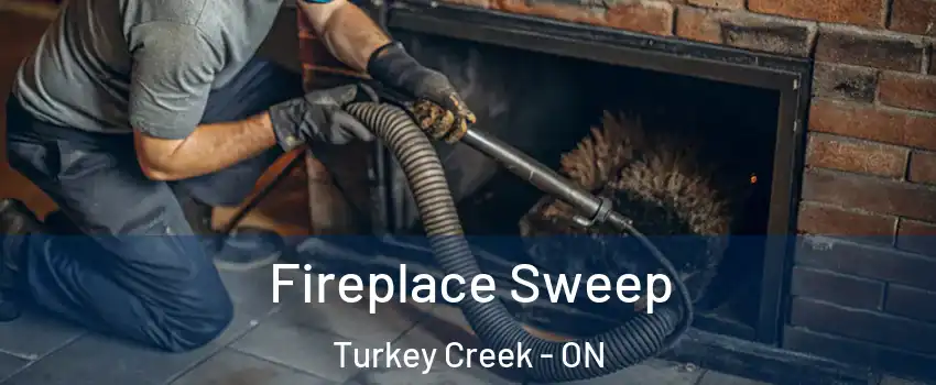  Fireplace Sweep Turkey Creek - ON