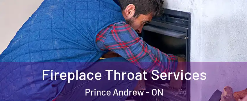 Fireplace Throat Services Prince Andrew - ON