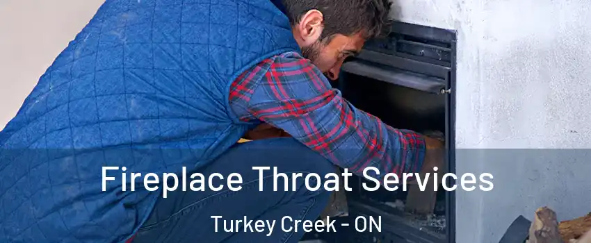  Fireplace Throat Services Turkey Creek - ON