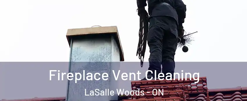  Fireplace Vent Cleaning LaSalle Woods - ON