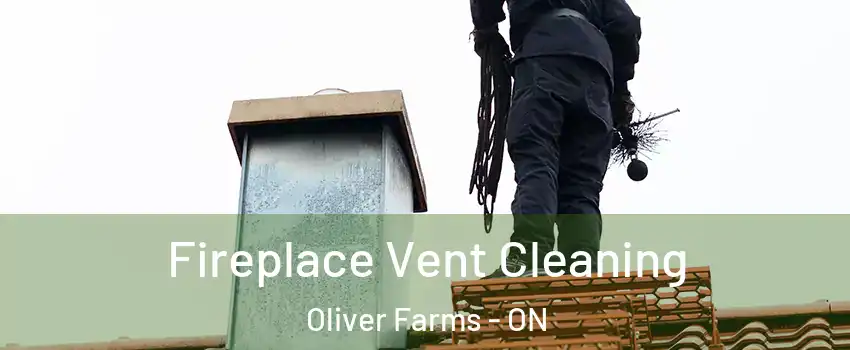  Fireplace Vent Cleaning Oliver Farms - ON
