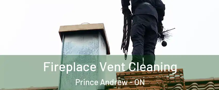  Fireplace Vent Cleaning Prince Andrew - ON