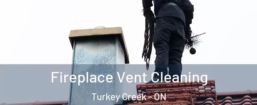  Fireplace Vent Cleaning Turkey Creek - ON