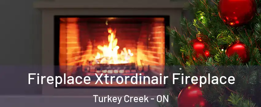 Fireplace Xtrordinair Fireplace Turkey Creek - ON