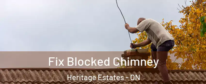  Fix Blocked Chimney Heritage Estates - ON
