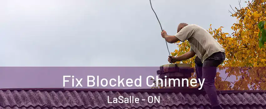  Fix Blocked Chimney LaSalle - ON