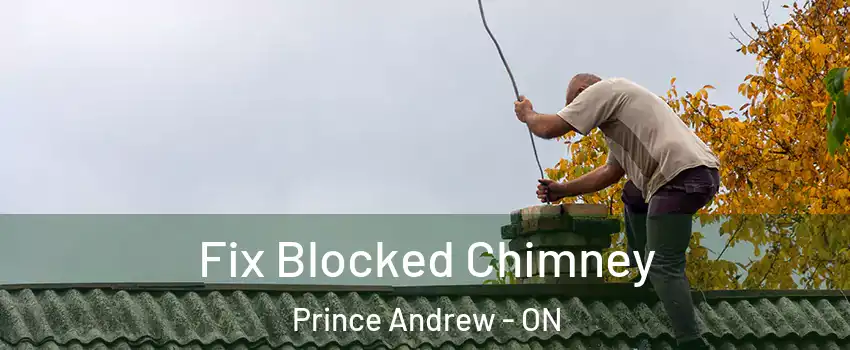  Fix Blocked Chimney Prince Andrew - ON