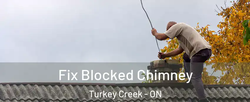  Fix Blocked Chimney Turkey Creek - ON