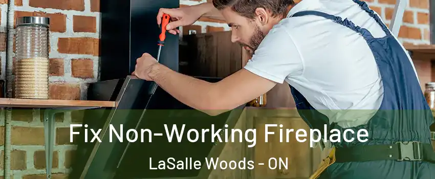  Fix Non-Working Fireplace LaSalle Woods - ON