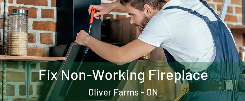  Fix Non-Working Fireplace Oliver Farms - ON