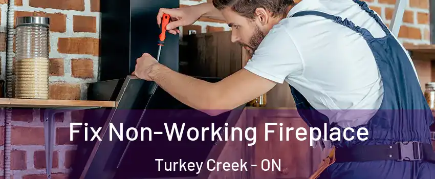  Fix Non-Working Fireplace Turkey Creek - ON