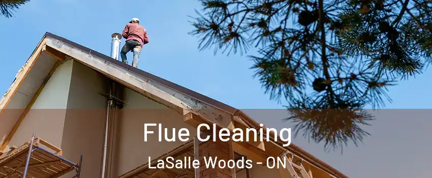 Flue Cleaning LaSalle Woods - ON