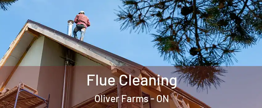  Flue Cleaning Oliver Farms - ON