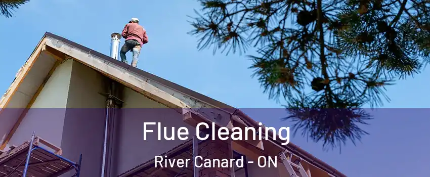Flue Cleaning River Canard - ON