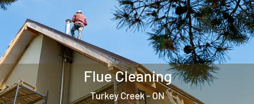  Flue Cleaning Turkey Creek - ON