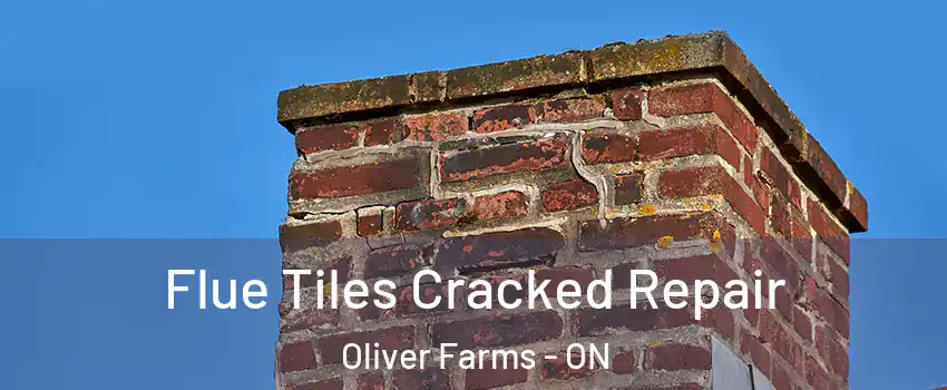  Flue Tiles Cracked Repair Oliver Farms - ON