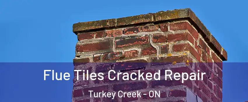  Flue Tiles Cracked Repair Turkey Creek - ON