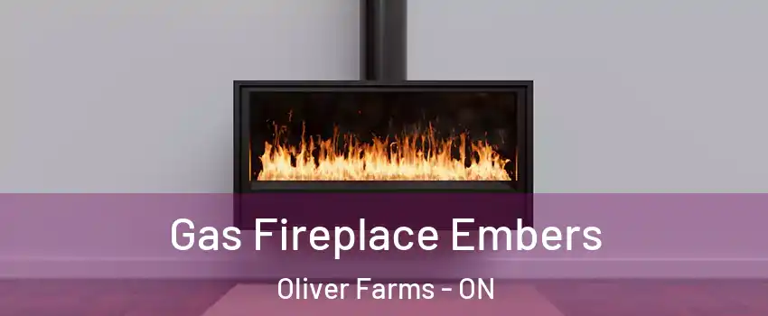  Gas Fireplace Embers Oliver Farms - ON